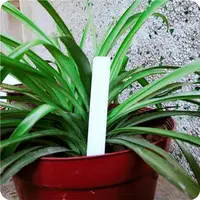 플라스틱 식물 라벨 도매