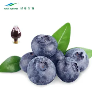 天然蓝莓果实提取物粉末，具有良好的溶解性