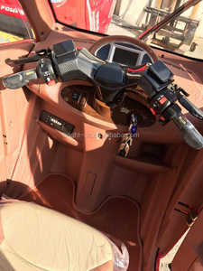 Tricycle électrique Everbright de haute qualité à <span class=keywords><strong>3</strong></span> <span class=keywords><strong>roues</strong></span> avec auvent, 60V, carrosserie fermée, 801-1000W, autonomie de 70-90 km, usage passagers - Product Image 2