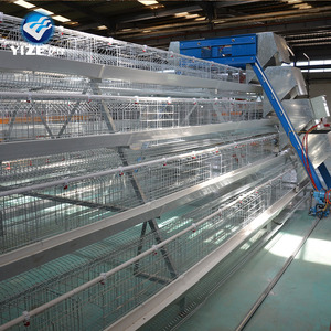 Offre Spéciale <span class=keywords><strong>Cages</strong></span> À Oeufs de Poulet En Afrique du sud, le Nigeria, le Kenya, l'ouganda - Product Image 5