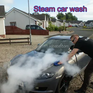 CE no boiler LPG 2 guns 20 bars mobile vapor carwash/steam car washing tools