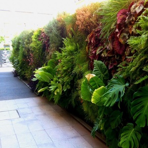 Macetero de pared verde hidropónico para jardín, <span class=keywords><strong>torre</strong></span> vertical ecológica - Product Image 5