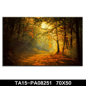 Grandes Impresiones de la Lona Abstracta Moderna Del <span class=keywords><strong>Arte</strong></span> Para El Hogar, Impresión de la Lona Estirada de Jardinería Al Por Mayo - Product Image 1