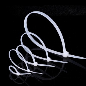 Nylon 66 <strong>Plastic</strong> <strong>Cable</strong> <strong>Tie</strong> Injecting Mould - Product Image 6