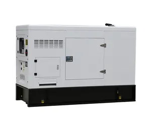 10kw 15kw 20kw 50kw 300kw 150kva 200kva 침묵하는 Biogas LNG CNG 전기 천연 가스 엔진 발전기