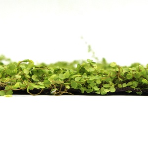 カーペットマットロール人工プラスチックモス装飾用 - Product Image 6