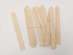 Étiquettes écologiques pour plantes en bois de 6 pouces - Product Image 5