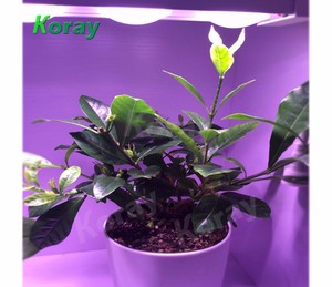Lámpara de la planta hidroponía focu lente finca agrícola led crece la luz - Product Image 3