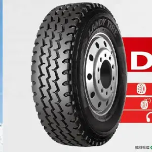 Pneus de camion populaires malaisiens de fabrication de haute qualité 295/80R22.5 pneu TBR