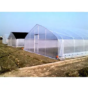 Hot sale poly house agriculture plastic film fruit single span greenhouse