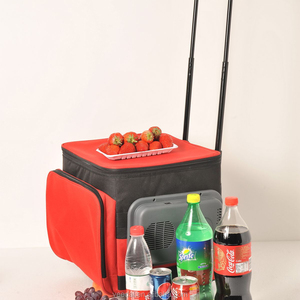 Tas Pendingin 22L Logo Pribadi Dicetak Promosi Dapat Tas Pendingin ETB22cooling Bag - Product Image 3