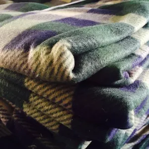 12年中国毛毯工厂定制低价格子库存印花毛毯100% 涤纶