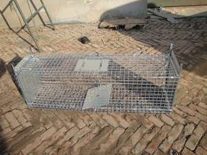 Fabrika doğrudan satış için kullanılan kafes tuzak çakal sansar kedi tuzak kafesi çift kapı giriş katlanabilir hayvan tuzağı kafes - Product Image 4