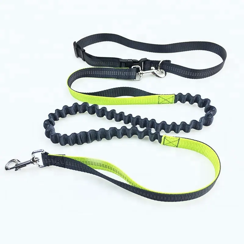 Morning Run Dog Leash Dog Elastic Reflective Running Straps Dog Rope Color Matching Pet Supplies