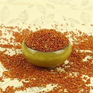 De calidad alimentaria mijo mijo mijo común para pastel de arroz glutinoso rojo - Product Image 1