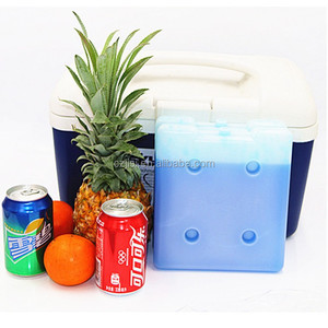 800ML <strong>Polystyrene</strong> Chilly Ice Gel <strong>Box</strong> Freezer Ice Brick for Picnic <strong>Cooler</strong> Bag and Insulated <strong>Box</strong> - Product Image 4