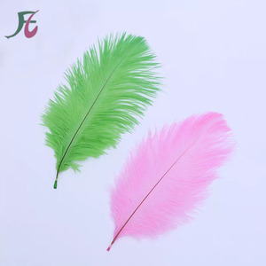 Artificial Ostrich Feathers <strong>Farm</strong> Backyard <strong>Party</strong> <strong>Decoration</strong> - Product Image 2