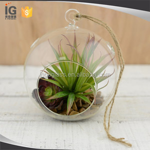 Clear Glass Hanging 4.5 Inch <strong>Round</strong> Ball Air Plant Terrarium <strong>Globe</strong> - Product Image 1
