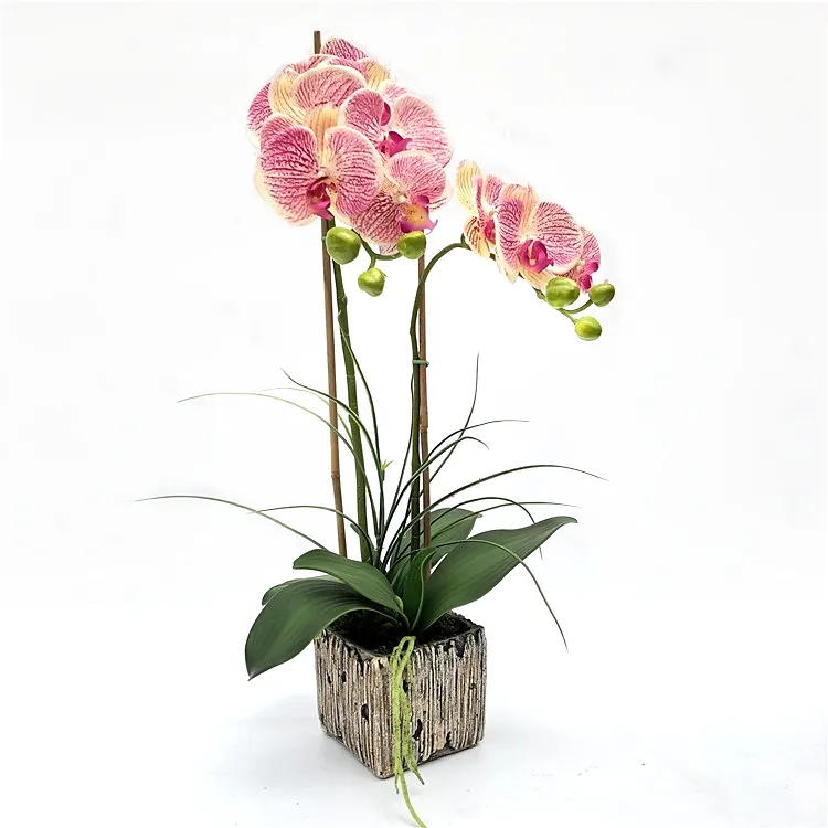 Groothandel 11 Bloem Gehoord Kunstzijden Bloemen Orchidee In Pot Op Maat Gemaakte Kleur Bonsai Real Touch Orchidee Voor Huisdecoratie