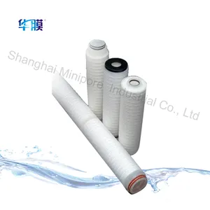 pes Membrane Pleated Filter Cartridge for wine or beer filter