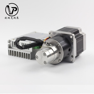 פופולרי עיצוב 24V Dc חשמלי מיקרו מגנטי קטן חיוני שמן הילוך העברת להשתמש עבור דלק שמן דיזל חומר סיכה - Product Image 3