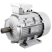 Moteur de démarrage synchrone et synchrone, livraison gratuite