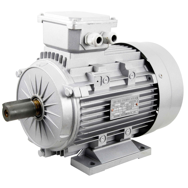 Synchronous and Asynchronous Starting Motor