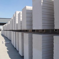 Panneaux muraux extérieurs intérieurs AAC en béton léger