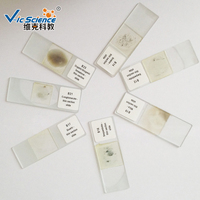 Microscope Prepared Slides Professional Geography Grinding Mineral Thin Section Prepared Slide