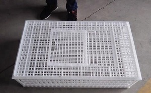 Taşıma kafesi plastik tavuk taşıma kafesi/sandık/coop için 960*560*270mm tavuk kafesi - Product Image 2