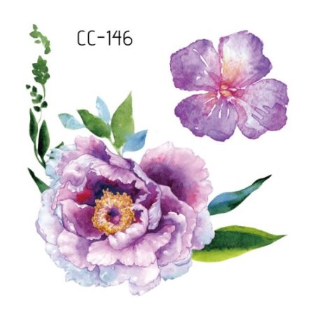 CC-146
