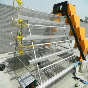 SSD High Quality Baby Chicken Cage Used Chicken Cage For Sale