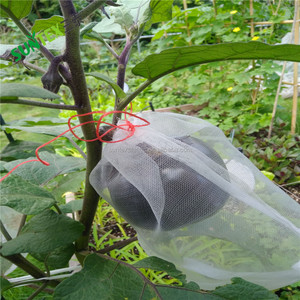 Cao kháng xé phát triển lều cho cây ăn quả bảo vệ/Nho cây giống Vườn Ươm <span class=keywords><strong>Net</strong></span> chống côn trùng <span class=keywords><strong>Net</strong></span>/chống rệp Lưới <span class=keywords><strong>Net</strong></span> - Product Image 2