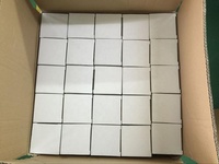Nouvel arrivage de haute qualité Enregistrement sonore personnalisé Push Buzzer Enregistrable Facile Musique Bouton parlant pour dresseur de chiens