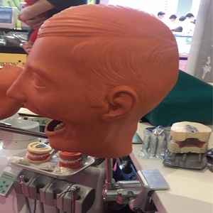 หัวผีนิสซินสำหรับการเรียนการสอนทางทันตกรรมและการเรียนรู้สำหรับทันตแพทย์ - Product Image 3