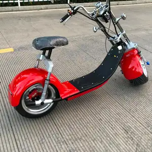 Holland Warehouse citycoco Mini pro Nzita electric scooter