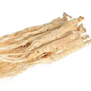 Ginseng