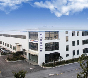 ผงสกัดจากพืช Tribulus terrestris อุดมไปด้วยซาโปนินอาหารเสริมจากธรรมชาติ - Product Image 2