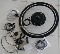 Electric Wheel Brushless Hub Motor, RH205, 1000 W