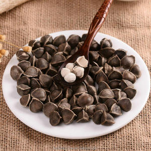 1 كيلوجرام من بذور المورينجا أوليفيرا الخام المجففة بالهواء من المحاصيل الجديدة - Product Image 2