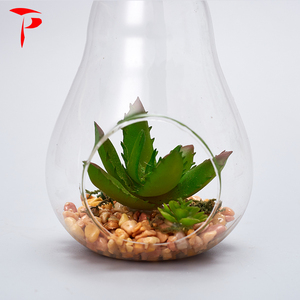 <span class=keywords><strong>Terrarium</strong></span> verre en forme de perle, <span class=keywords><strong>plante</strong></span> d'extérieur, vente en gros - Product Image 3