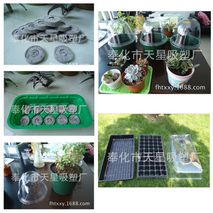 <span class=keywords><strong>2016</strong></span> de alta calidad de la manera tazón pequeño plantadores - Product Image 4