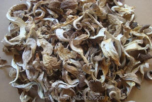 Detan Séché <span class=keywords><strong>Pleurotus</strong></span> <span class=keywords><strong>Ostreatus</strong></span> Prix - Product Image 3