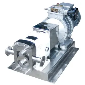 Variable rotary positive displacement water pump