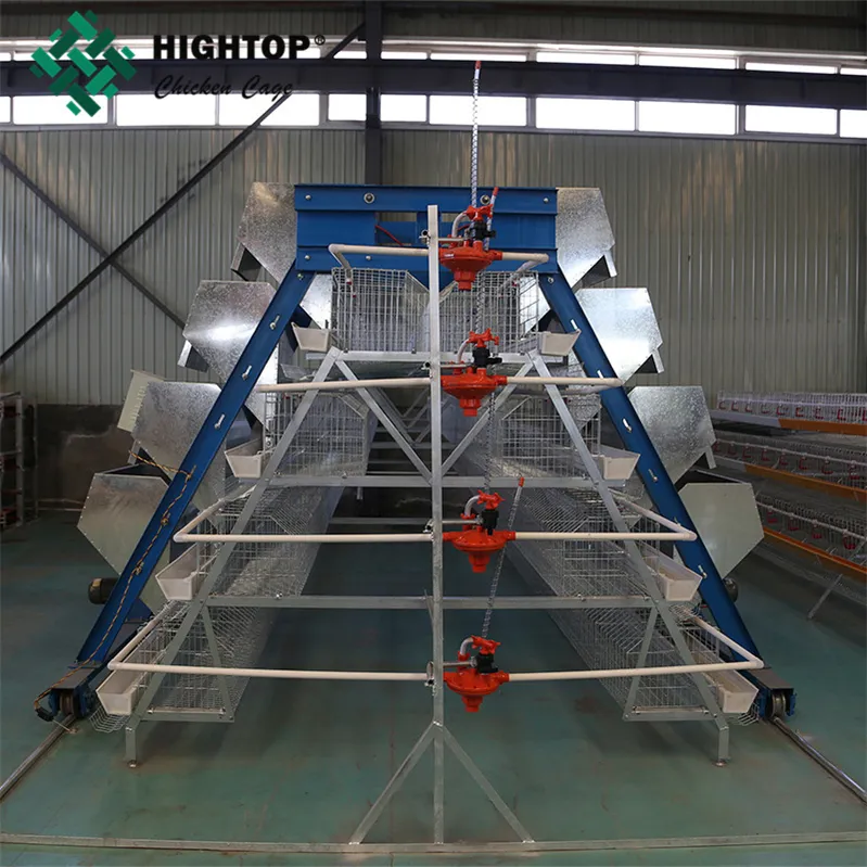 China supplier welded wire mesh battery poultry cages for layer chickens egg