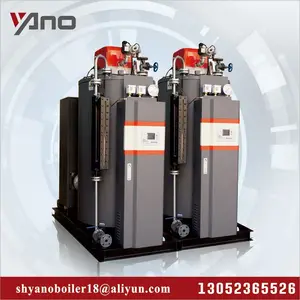 Shanghai Supplier 0.3 T 0.5 T/h Boiler Gas