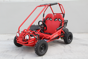 Popular cheap 2 seat racing <strong>go</strong> <strong>kart</strong> accessories <strong>163cc</strong> 4 stroke for kids sw rear disc brake auto clutch - Product Image 3