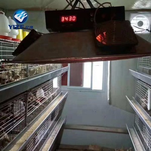 Lámpara de calor infrarroja para aves de corral, equipo de buena calidad para aves de corral, campo de 8 a 20 años, práctico y duradero, retenedor de calor YIZE - Product Image 3
