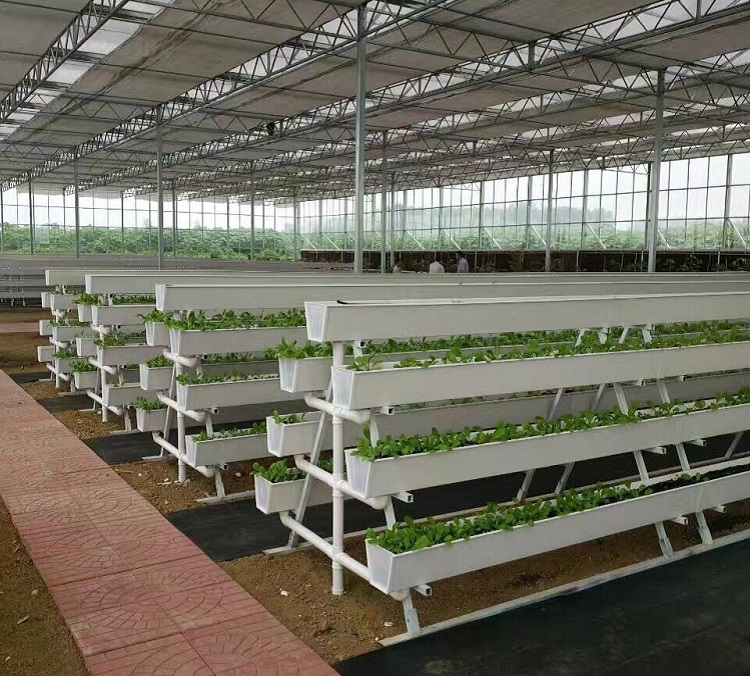 NFT hydroponic growing gully/channel hydroponic strawberry hydroponic system manufacturer