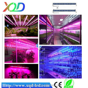 Shenzhen XQD poder más elevado 12 W Nova led crece luces para las plantas - Product Image 4